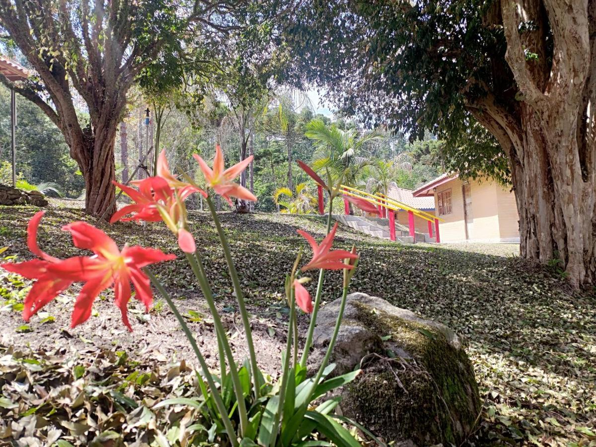 Solar Dos Canarios São Bento do Sapucaí Exterior foto